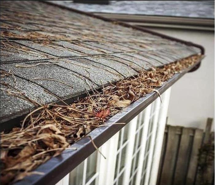 leaves in gutter of house