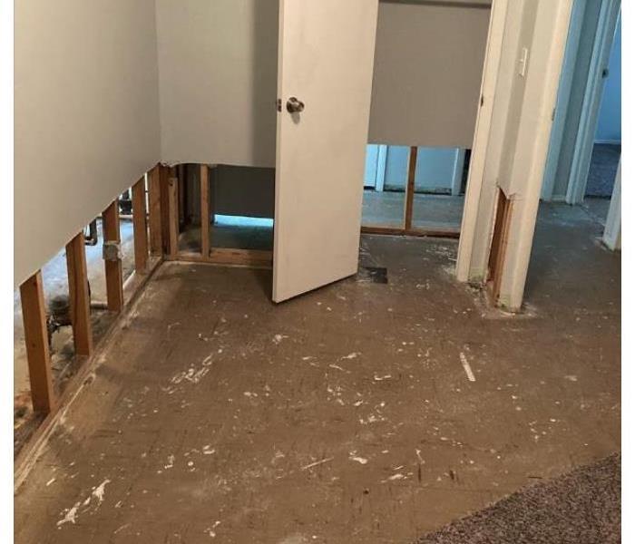 carpet and drywall flood cut 